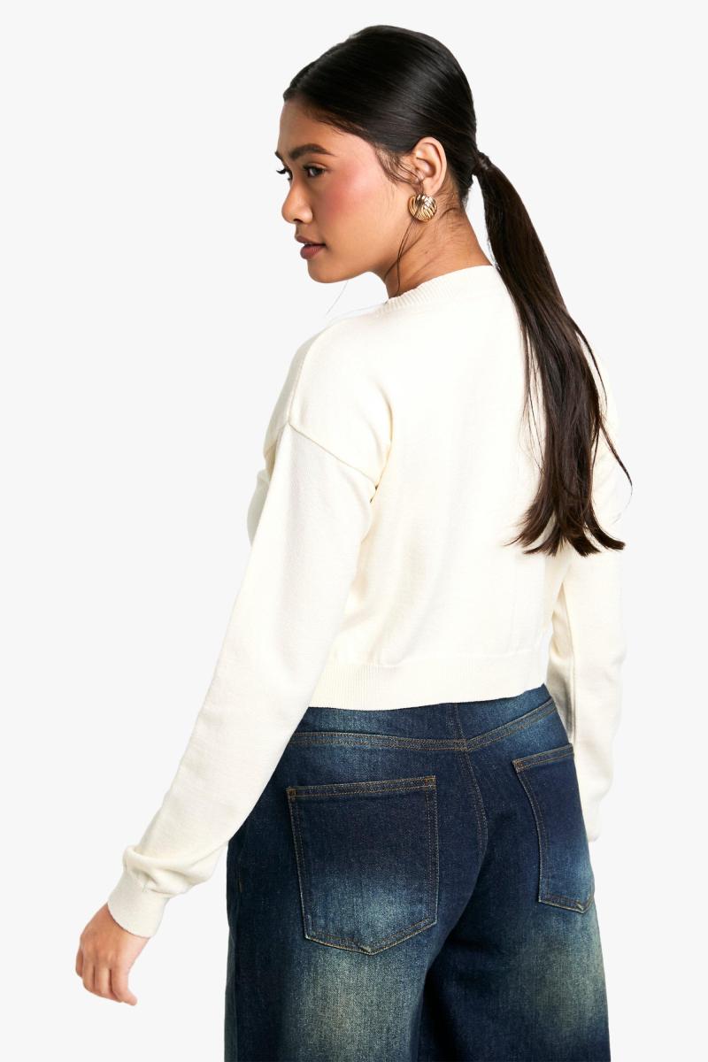 М'який в'язаний боксерський урожай високої шиї кардиган